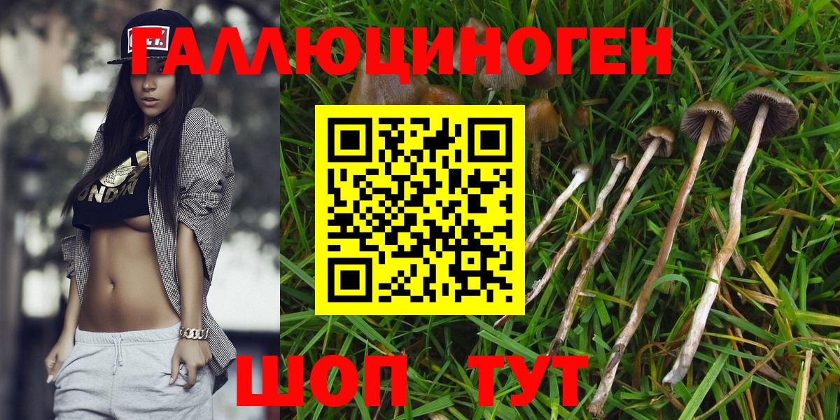 Галлюциногенные грибы мицелий Лениногорск
